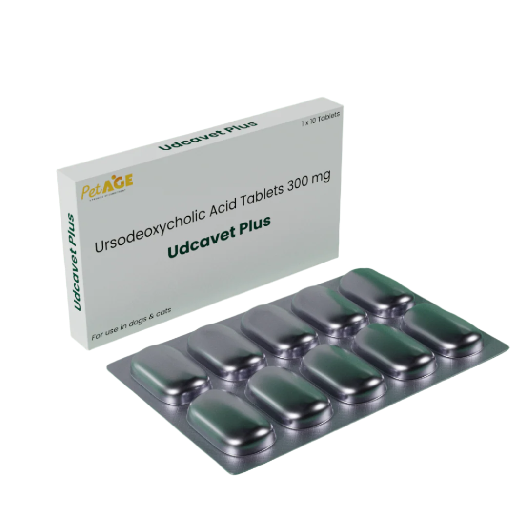 Udcavet Plus