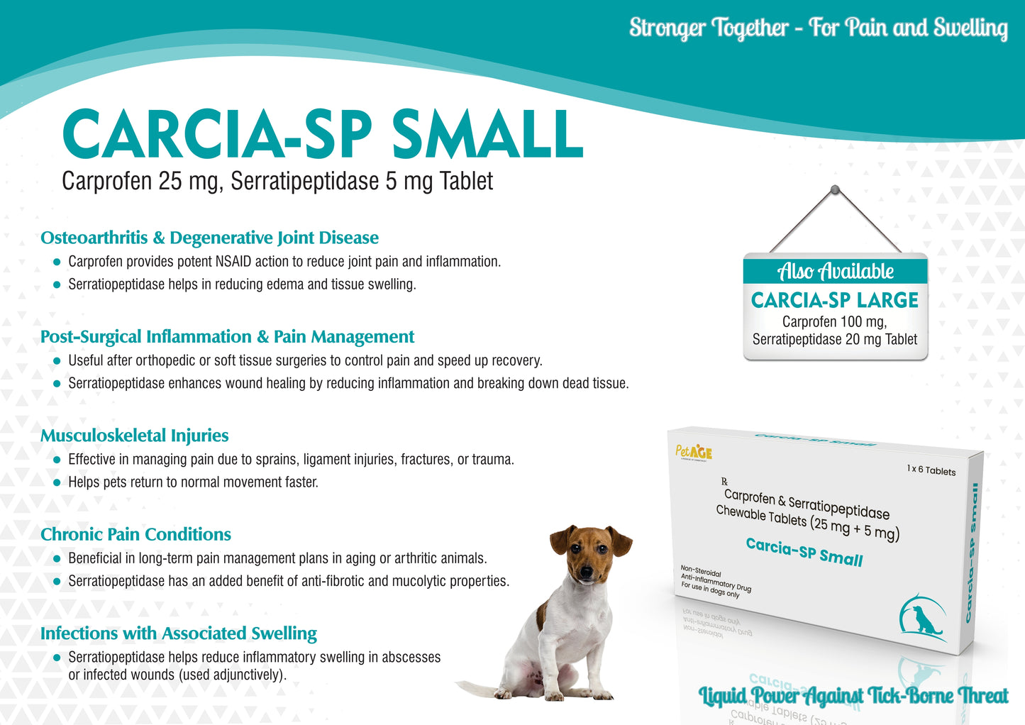 Carcia SP Small