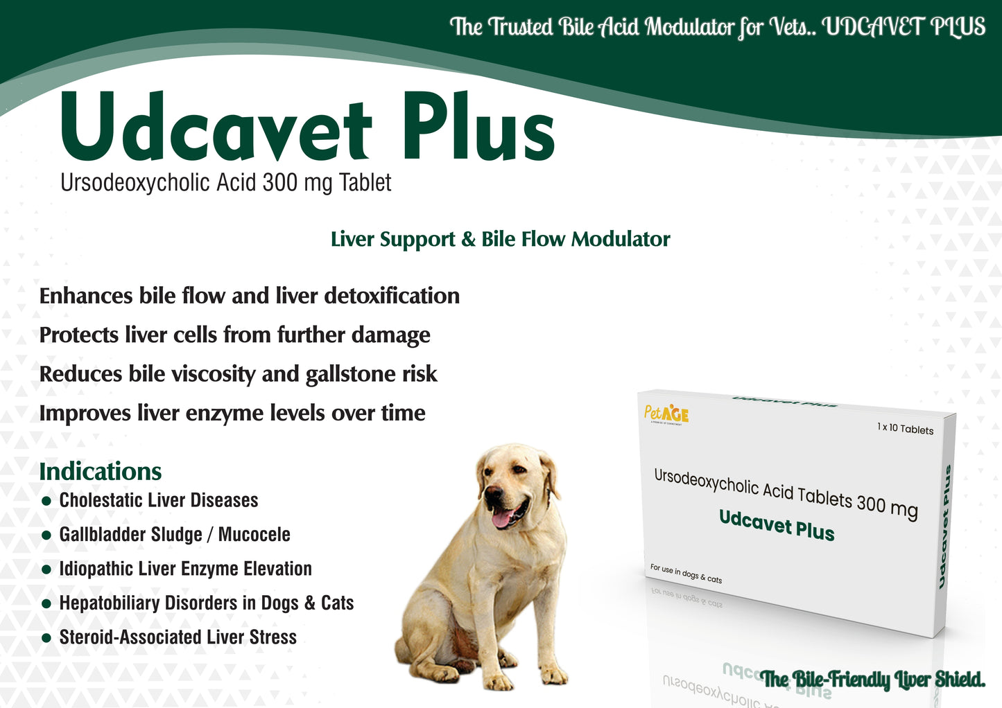 Udcavet Plus