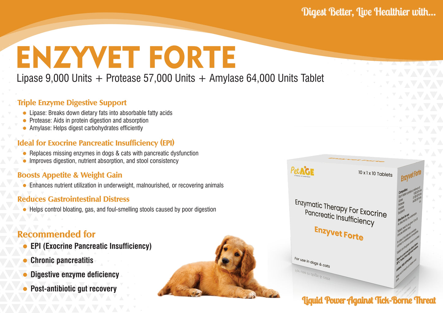 Enzyvet Forte