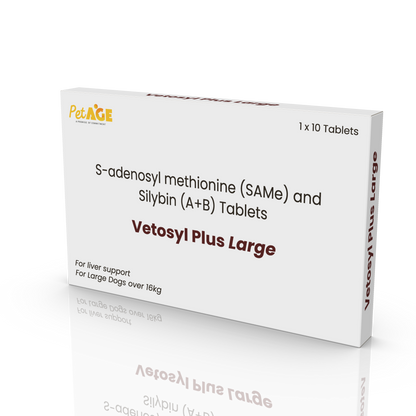 Vetosyl Plus Large